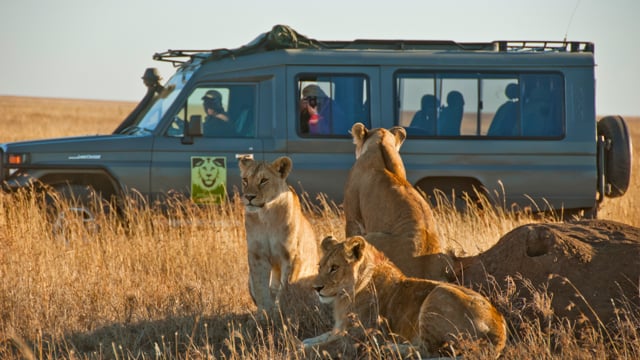 african safari en