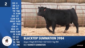 Lot #2 - BLACKTOP SUMMATION 3984
