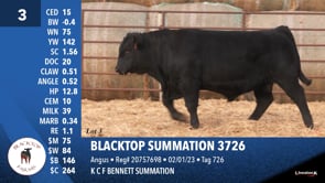 Lot #3 - BLACKTOP SUMMATION 3726