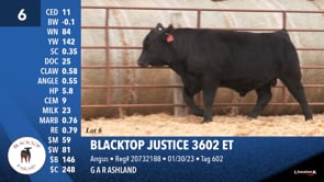 Lot #6 - BLACKTOP JUSTICE 3602 ET