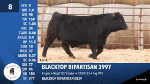 Lot #8 - BLACKTOP BIPARTISAN 3997