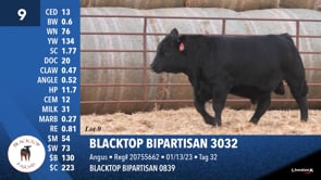Lot #9 - BLACKTOP BIPARTISAN 3032
