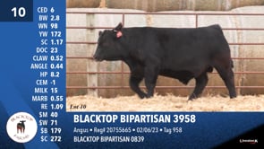 Lot #10 - BLACKTOP BIPARTISAN 3958