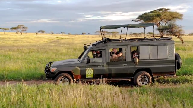 safari resort packages