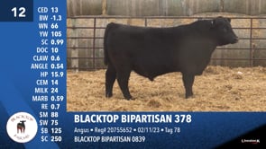 Lot #12 - BLACKTOP BIPARTISAN 378