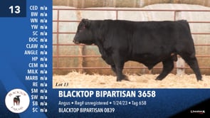 Lot #13 - BLACKTOP BIPARTISAN 3658