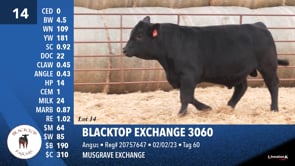 Lot #14 - BLACKTOP EXCHANGE 3060