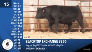 Lot #15 - BLACKTOP EXCHANGE 3850