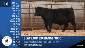 Lot #16 - BLACKTOP EXCHANGE 3030