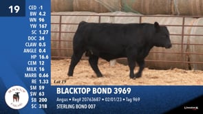 Lot #19 - BLACKTOP BOND 3969