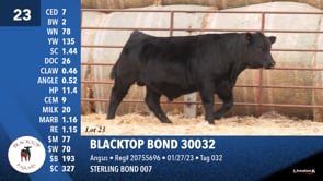 Lot #23 - BLACKTOP BOND 30032