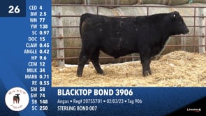 Lot #26 - BLACKTOP BOND 3906