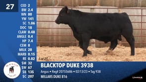 Lot #27 - BLACKTOP DUKE 3938