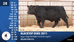Lot #28 - BLACKTOP DUKE 3011