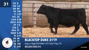 Lot #31 - BLACKTOP DUKE 3119