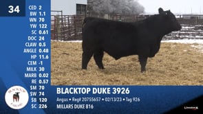 Lot #34 - BLACKTOP DUKE 3926