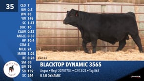 Lot #35 - BLACKTOP DYNAMIC 3565