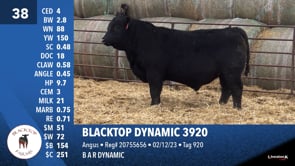 Lot #38 - BLACKTOP DYNAMIC 3920