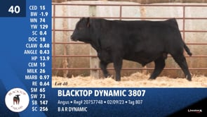 Lot #40 - BLACKTOP DYNAMIC 3807