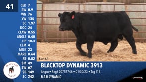 Lot #41 - BLACKTOP DYNAMIC 3913