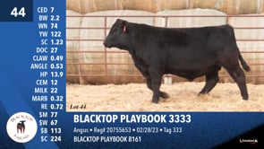 Lot #44 - BLACKTOP PLAYBOOK 3333