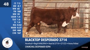 Lot #48 - BLACKTOP DESPERADO 3714