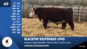 Lot #49 - BLACKTOP DESPERADO 3945