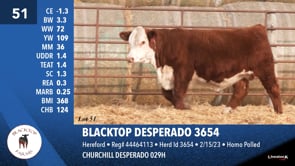 Lot #51 - BLACKTOP DESPERADO 3654