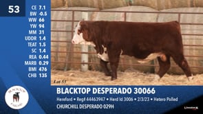 Lot #53 - BLACKTOP DESPERADO 30066