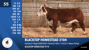 Lot #55 - BLACKTOP HOMESTEAD 3104