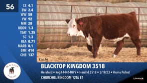 Lot #56 - BLACKTOP KINGDOM 3518