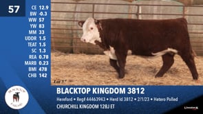 Lot #57 - BLACKTOP KINGDOM 3812