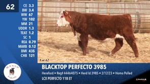 Lot #62 - BLACKTOP PERFECTO 3985