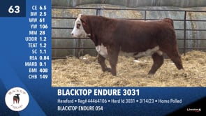Lot #63 - BLACKTOP ENDURE 3031