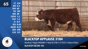 Lot #65 - BLACKTOP APPLAUSE 3184