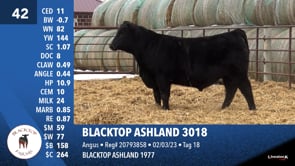 Lot #42 - BLACKTOP ASHLAND 3018