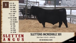 Lot #1 - SLETTENS INCREDIBLE 301