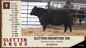 Lot #6 - SLETTENS MAGNITUDE 308