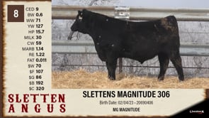 Lot #8 - SLETTENS MAGNITUDE 306