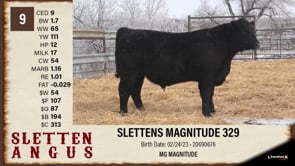 Lot #9 - SLETTENS MAGNITUDE 329
