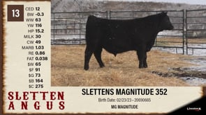 Lot #13 - SLETTENS MAGNITUDE 352