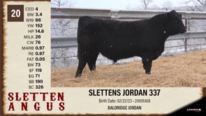 Lot #20 - SLETTENS MAGNITUDE 337