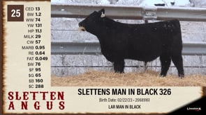 Lot #25 - SLETTENS MAN IN BLACK 326