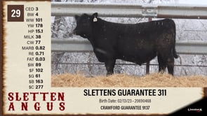 Lot #29 - SLETTENS GUARANTEE 311