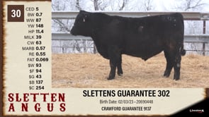 Lot #30 - SLETTENS GUARANTEE 302