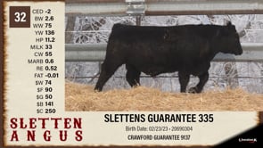 Lot #32 - SLETTENS GUARANTEE 335