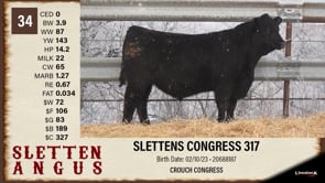 Lot #34 - SLETTENS CONGRESS 317