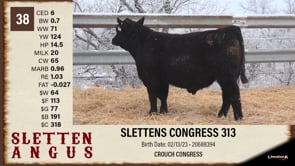 Lot #38 - SLETTENS CONGRESS 313