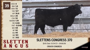 Lot #39 - SLETTENS CONGRESS 370