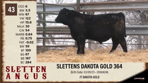 Lot #43 - SLETTENS DAKOTA GOLD 364